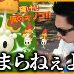 【ポケモンGO】輝くキノコは突然に！？色違いネマシュを捕獲せよ！2時間の冒険中に出会ったネマシュを「全て撮影」してキラリンチャレンジしてみたら神がかったスペシャル！【光フェス３日目】