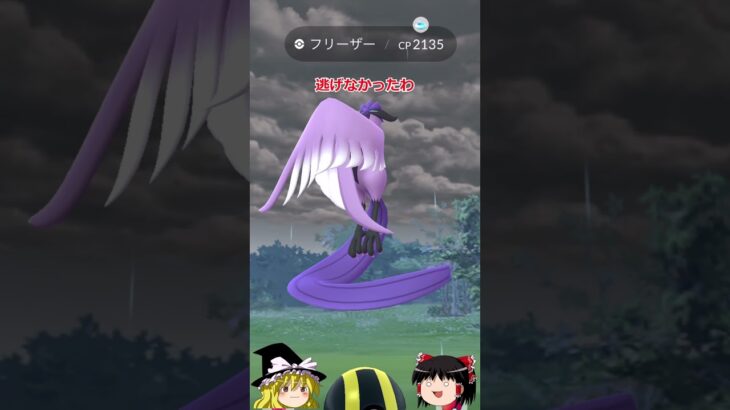 【ポケモンGO】逃げない⁉️ガラルフリーザー2連続ゲットできるってこと❓（ガラル三鳥 チャレンジ 66回目）#shorts