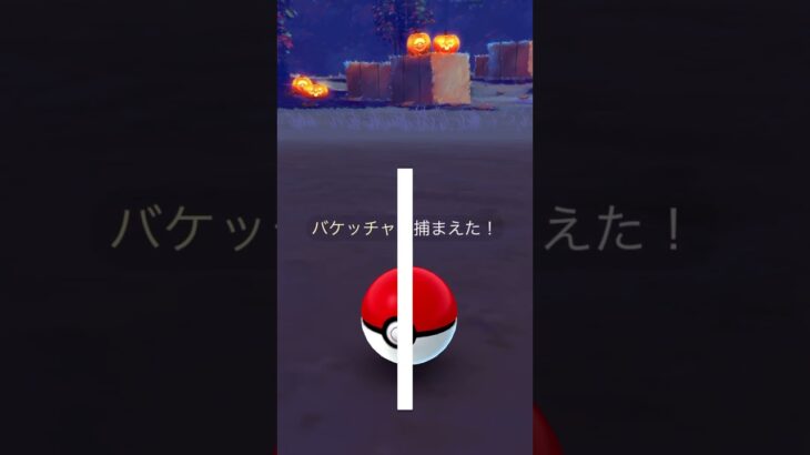 【ポケモンGOな日常】ハロウィンイベント：色違いバケッチャ【ポケモンGO】