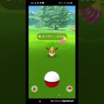 ポケモンGO実況　人気ポケモンイーブイを捕まえてみた　かわいいイーブイをゲットなるか　ポケモンGOに挑む　#Shorts　#ポケモン 　#ショート