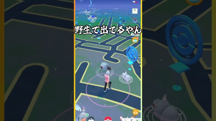 【ポケモンGO】野生で出てるやん#Greavard#Pokémon GO#shorts#Wild Emergence