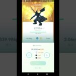 ポケモンGO　色違いゼクロムをPL31からPL40まで強化をやってみた。