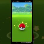 ポケモンGO実況　ヤレユータンの捕獲に挑んでみた　果たしてヤレユータンゲットなるか　結果が想像以上に〇〇だった件　#Shorts　#ショート  #ショート動画 #ポケモンgo