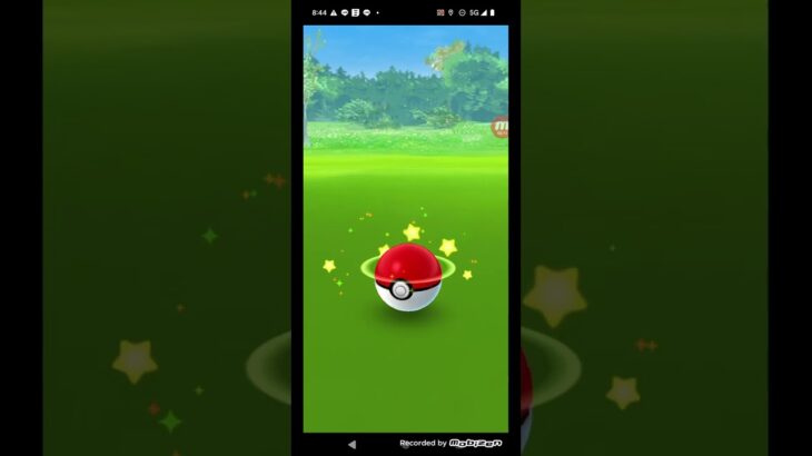 ポケモンGO実況　ヤレユータンの捕獲に挑んでみた　果たしてヤレユータンゲットなるか　結果が想像以上に〇〇だった件　#Shorts　#ショート  #ショート動画 #ポケモンgo