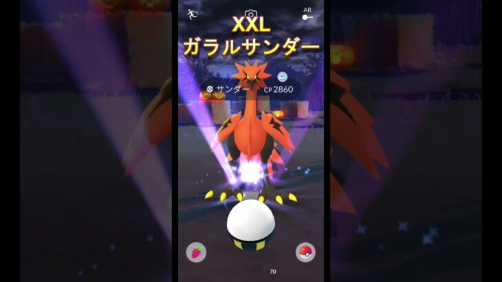 【ポケモンGO】XXLのガラルサンダーと肝心な時にないマスターボール #pokemongo