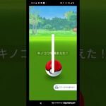 ポケモンGO実況　伝説の捕獲要員キノココの捕獲に挑んでみた　苦戦した末に結果が〇〇だった件　#ポケモンgo #Shorts　#ショート動画 　#ショート