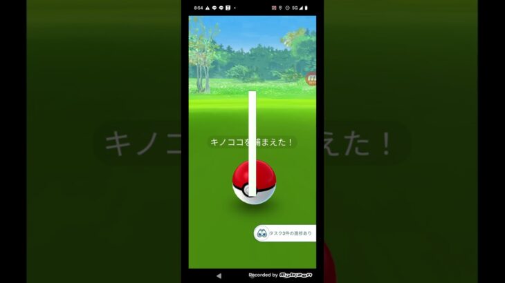 ポケモンGO実況　伝説の捕獲要員キノココの捕獲に挑んでみた　苦戦した末に結果が〇〇だった件　#ポケモンgo #Shorts　#ショート動画 　#ショート