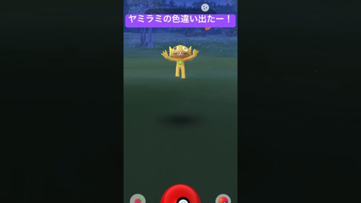 【ポケモンGO】ヤミラミの色違い出たー！金色で縁起が良さそう！【ポケットモンスター】#shorts #ポケモン