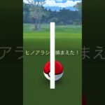 Pokemon GO ヒカリとヒノアラシ #ポケモンgo #色違い #ヒノアラシ