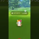 【PokemonGO】DiaDeMuertosイベントで花飾りカラカラをGET【ポケモンGO】