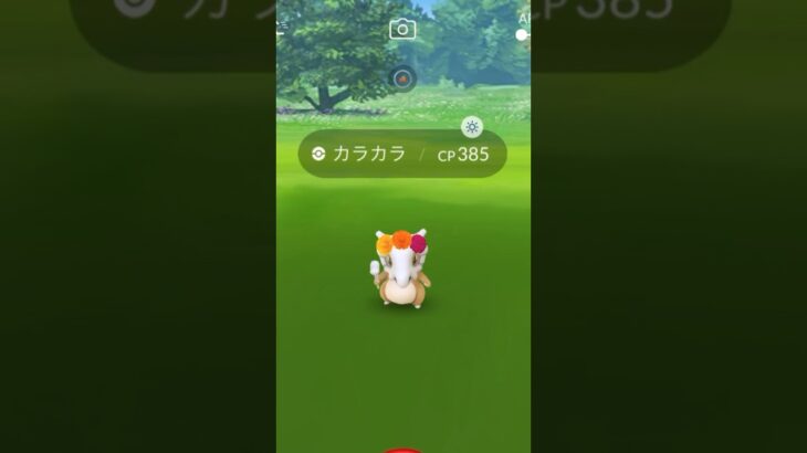 【PokemonGO】DiaDeMuertosイベントで花飾りカラカラをGET【ポケモンGO】