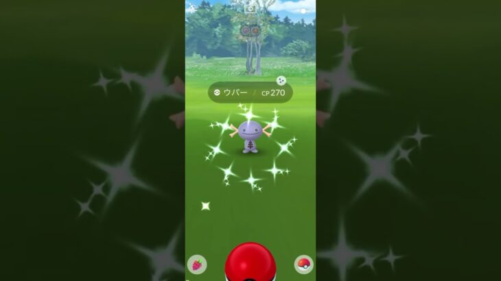 Shiny!!× Shiny!!【ポケモンGO】#shorts NO.0063