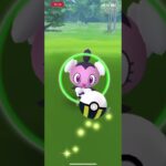 Shiny!!× Shiny!!【ポケモンGO】#shorts NO.0065