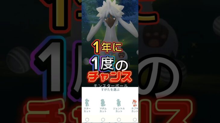 トリミアン捕獲せよ#ポケモンgo