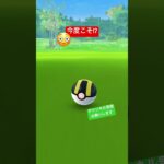 やっぱり期待しちゃうー😭 #ポケモンgo #ポケgo #ポケモン #pokemongo #pokemon #pokémon #色違い #色違いポケモン #チャンネル登録お願いします #shorts