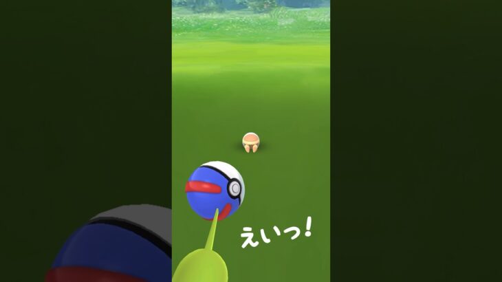 ちっちゃい！アゴジムシ #ポケモンgo #pokemongo