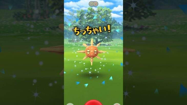 ちっちゃい！ソルロック♫ #ポケモンgo #shorts