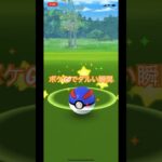 ポケモンgoやってる人は一度は経験したことがあるはず#ポケモンgo#ゾロア