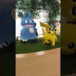 ゴンベ！野生のピカチュウに遭遇！#japanese #ポケモンgo #shorts #short #pikachu #pokemon