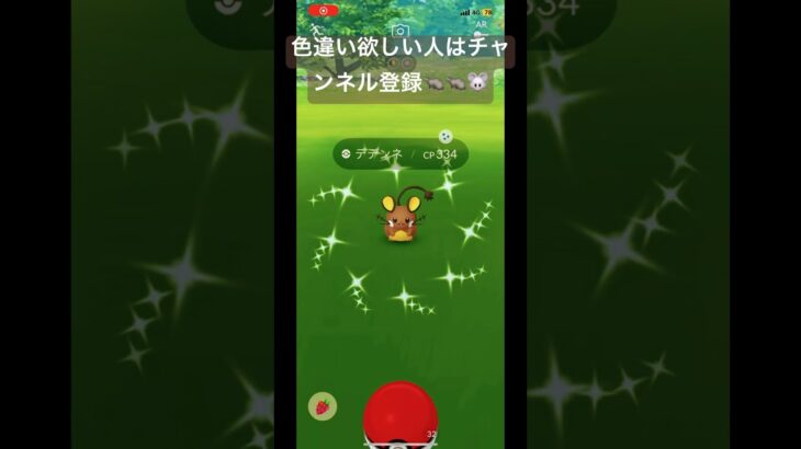 デデンネの色違い！🍫チョコレート色だぁ #shorts #ポケモンgo #ポケモンgo色違い