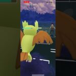 新実装ドオーが硬すぎるwww #ポケモンgoバトルリーグ #goバトルリーグ #pokemon #pokemongo #ポケモンgo #スーパーリーグ #short#shorts