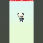 12卵４連【ポケモンGO】#shorts #ゲーム実況 #ポケモンgo