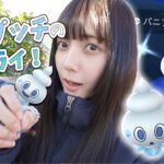 色違い新実装のバニプッチが1時間限定で大量出現！！！のおおおお【ポケモンGO】