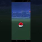 20231204のポケモンgoの原種ウパー