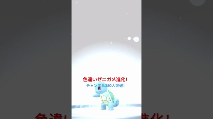 色違いゼニガメ進化！あと、チャンネル350人突破！　#shorts  #ポケモンgo  #色違い  #チャンネル登録お願いします  #急上昇