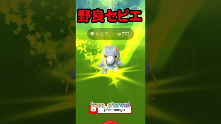 【ポケモンGO】野良セビエでたー！メタモンはどこ？ #ゾロア #メタモン #セビエ