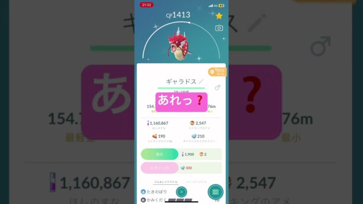 来年の干支は辰だあー‼️   ギャラドス‼️   ポケモンGO  あれっ❓