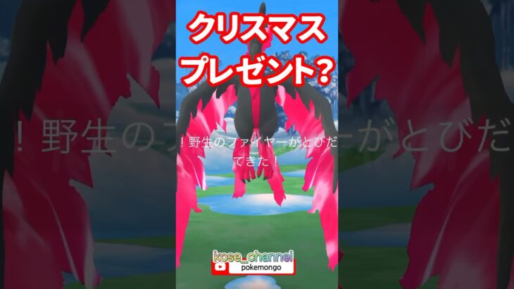 【ポケモンGO】ガラルファイヤーのクリスマスプレゼント？おさんぽおこうとルートで出現！ #こうせいちゃんねる