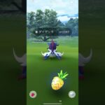 【ポケモンGO】 ダイケンキ（ヒスイのすがた・通常色） 捕獲動画！！