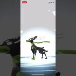 ポケモンGO ジガルデ10%フォルムを50%フォルムへチェンジ #pokémon