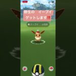 野生のイーブイ　ゲットします‼️  でもおや😳⁉️   ポケモンGO