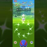 ✨【ポケモンGO】【大好き】【コミュニティデイ】✨可愛い天使✨色違いトゲチックちゃん舞い降りましたよ👼🤲🏼❤️‍🔥☺️🥰😎✨可愛い鳴き声と可愛い御羽パタパタ癒し動画👼✨笑顔幸せ感謝✨🥰