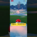 でかい　パウワウ　ゲット‼️   ポケモンGO