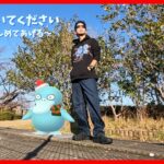 【ポケモンGO】色違いホリデーコダックに全ツッパ！２タマクイックで神の子炸裂！？「逆境こそチャンスなり」の精神で我今生まれ変わるメロディースペシャル！【ウィンターホリデー２】