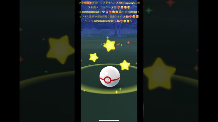 ✨【ポケモンGO】【問答無用正真正銘神回神引き】🤲🏼❤️‍🔥☺️🥰😎✨人生は短く🥺芸術は生き続ける✨❤️‍🔥☺️🥰😎✨最後まで夢を笑顔で追い続けている方に贈ります✨❤️‍🔥☺️🥰