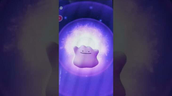 サイホーン捕獲まさかの！ポケモンGO