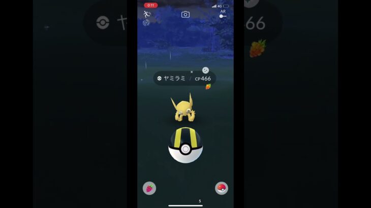 ポケモンGO PokémonGo