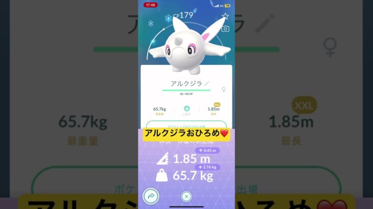 アルクジラ　おひろめ❤️   私は最強⁉️  ポケモンGO  ado