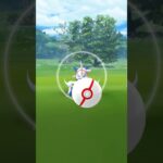 【ポケモンGO】ヒスイダイケンキ色違い 最速 #ポケモンgo #ヒスイダイケンキ #レイドデイ