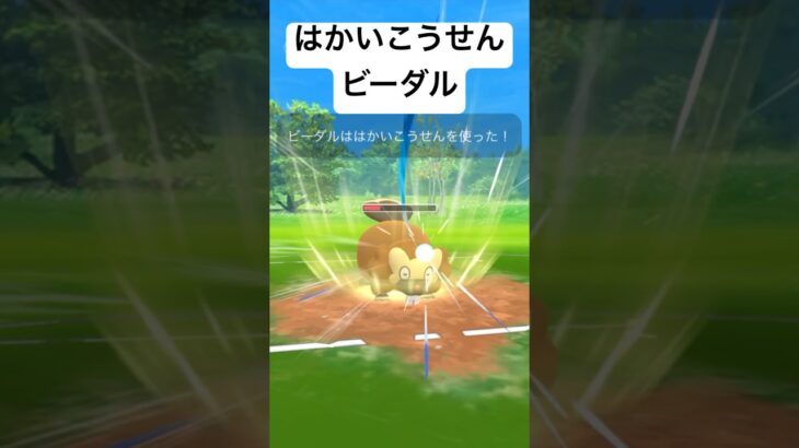 『ポケモンGO』はかいこうせん決めまくるビーダル【ホリデーカップ】#ゲーム #ゲーム実況 #ポケモンgo #ポケモン #pokemon #pokemongo #gbl #shorts #short