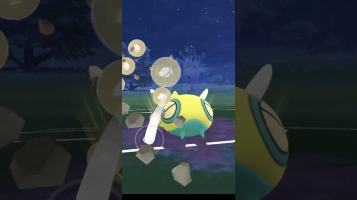 【ポケモンGO】ノコッチ龍龍でいってみた（ホリデーカップ） #ポケモンgo #pokemongo #goバトルリーグ #GBL#PvP#shorts