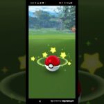 ポケモンGO実況 御三家人気ポケモンであるカメールの捕獲に挑んでみた 果たしてカメールゲットなるか 〇〇な結果だった件 #shorts #ショート #ポケモンgo #ショート動画