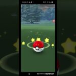 ポケモンGO実況 パウワウのゲットに挑んでみた 果たしてパウワウゲットなるか 〇〇な結果に #shorts #ショート動画 #ショート #ポケモンgo