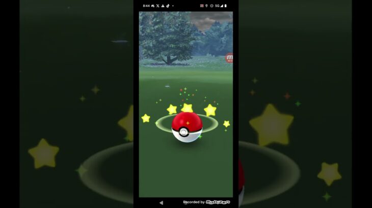 ポケモンGO実況 パウワウのゲットに挑んでみた 果たしてパウワウゲットなるか 〇〇な結果に #shorts #ショート動画 #ショート #ポケモンgo