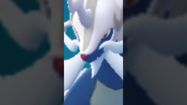 【ポケモンGO】ヒスイダイケンキ、まさかの1回目で！？