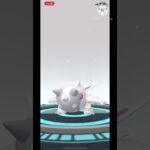 【ポケモンGO】アルクジラの100％を進化させるだけの動画！ #ポケモンgo